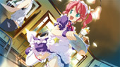 ̃A HD -Shooting Star  Eternal Heart Ajo[T[BOX-TvCG