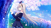 �i�I���W�i���e���J�t�jD.C.5 to 4 Luminous Memories �`�_�E�J�[�|5 �g�D 4�` ���~�i�X�������[�Y ����ŃT���v��CG