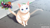 ܂eve[VQ@䂤݉权TvCG