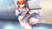 Xa@̐lX CNTvCG
