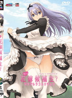 �ޏ��͉ԉŌ�␶�`�V���f�����R���N�V�����i�����Łj �iDVD-V�j