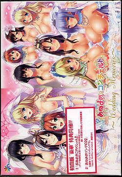 ˂߃R`Fg Wedding Memories 