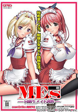 M.E.s.〜同級生メイド調教〜 廉価版(DVDPG)