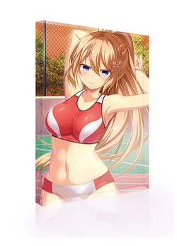 Steam��E�X�N�[�����C�t�����L�O B6�A�N�����I�[�i�����g �w�� 仉��q