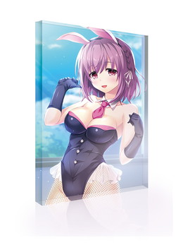 Steam��E�X�N�[�����C�t�����L�O B6�A�N�����I�[�i�����g ���� �]��