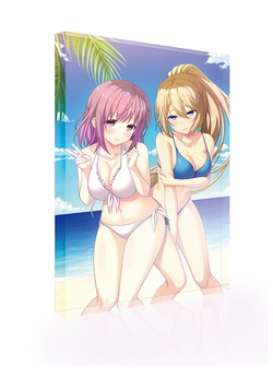 Steam��E�X�N�[�����C�t�����L�O B6�A�N�����I�[�i�����g �����]�����w��仉��q