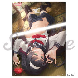 �u���������؋��v15���N�L�O �@�� B4�A�N�����A�[�g