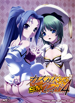 カスタムレイド4 SMセット（DVD-ROM）