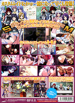 カスタムレイド4 SMセット（DVD-ROM）