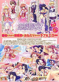 姫様限定！〜Princess Limited〜（DVD-ROM）